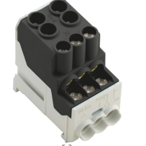 BLOQUE DISTRIBUCION 100A 2X25/6X10 BK